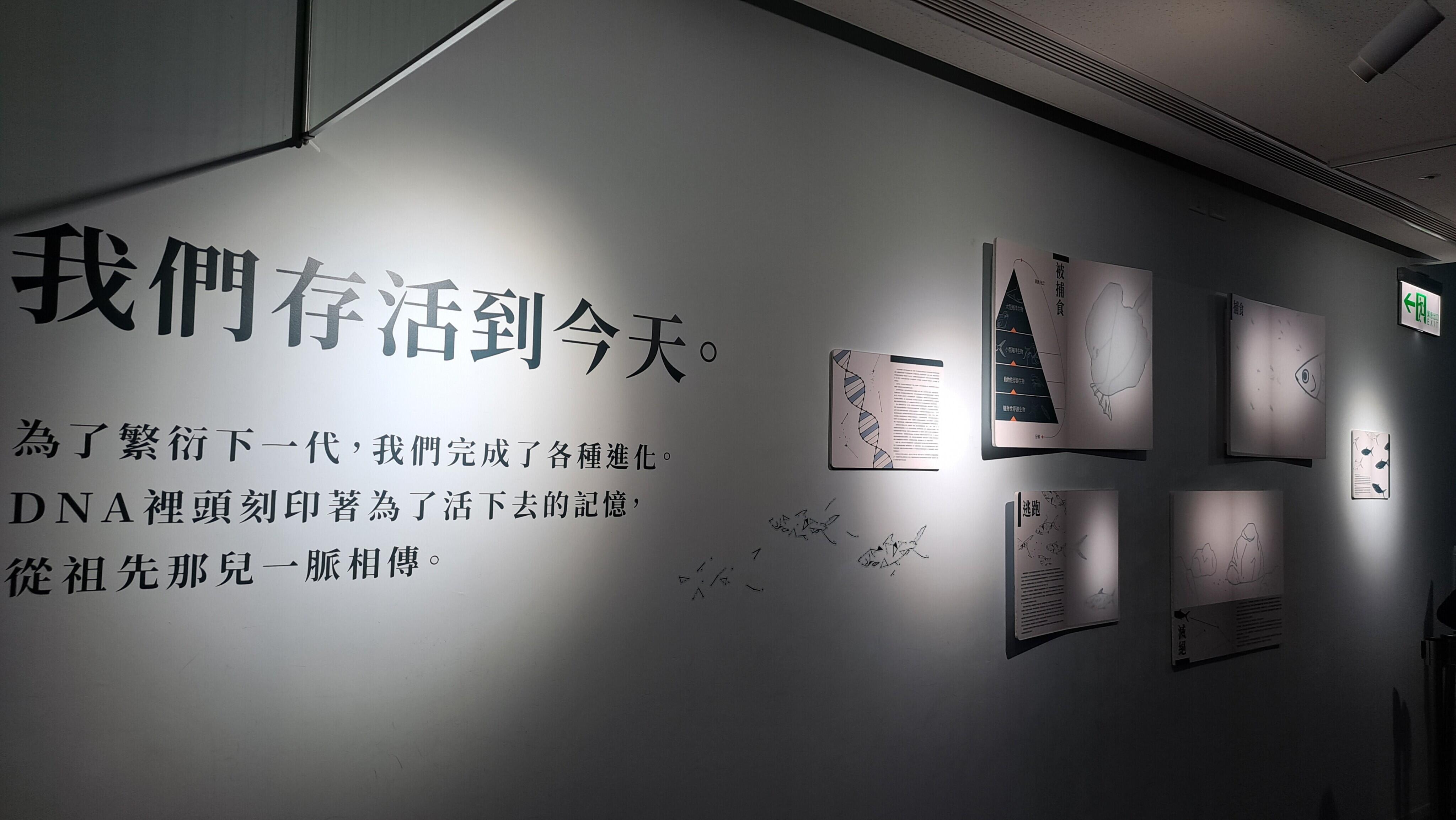 新碩文創參訪『Blu Night宿海奇遇』啟航記者會 熱烈迎接暑期頂級夜宿體驗 2